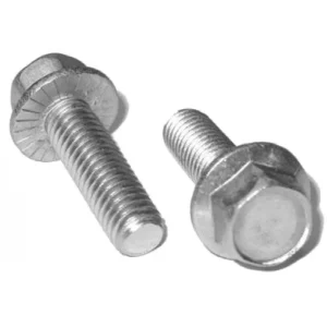 ss-flange-bolt